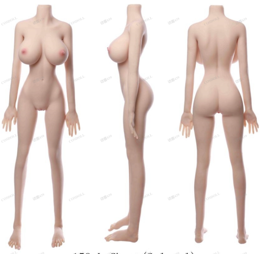 Custom Full Size Body